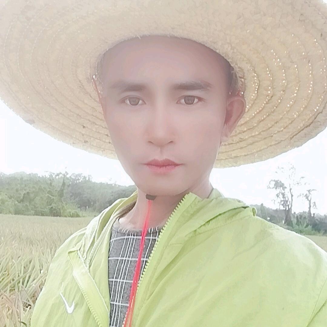 茶叶。哥