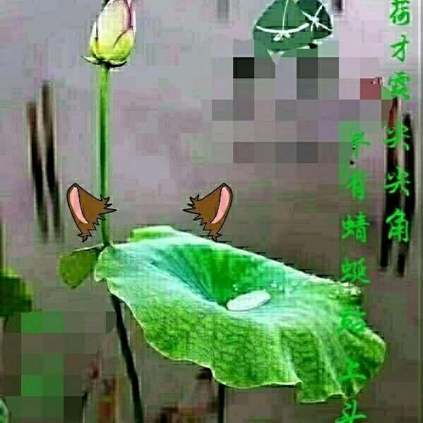 角落里的小草