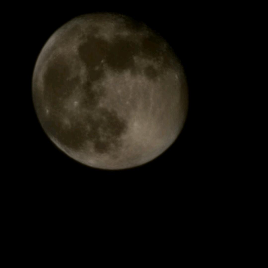 潇洒飘逸的帅蛋