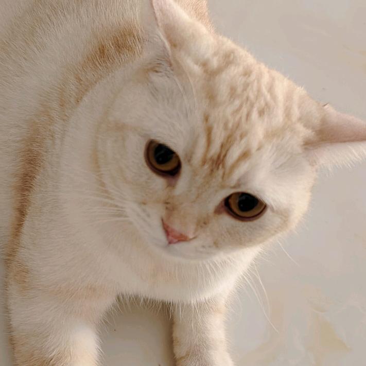 宁静自得
