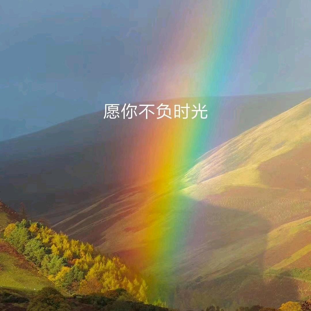 爱我中华，罗勇，87779444097