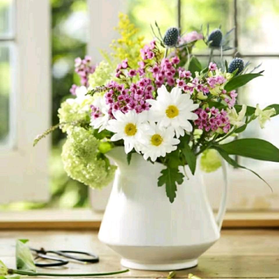 <(－风间琉璃🍒︿－)>