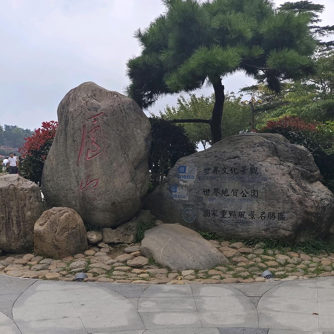 只能看爽剧看不了虐剧头像