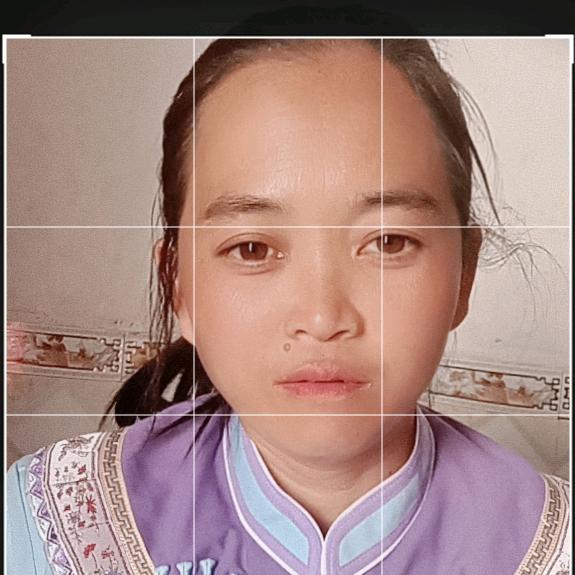 舒琴