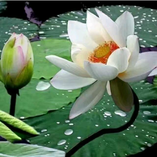 ღº偏执 ོꦿ࿐