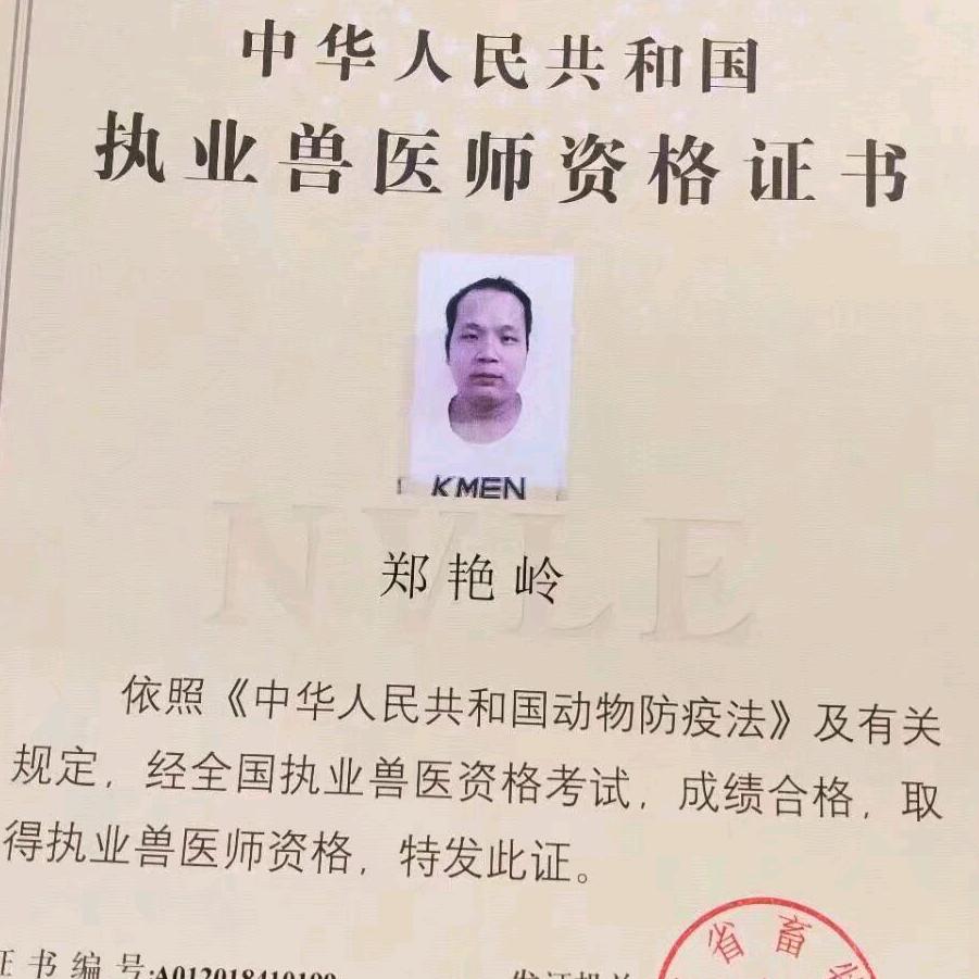 执业兽医师老郑