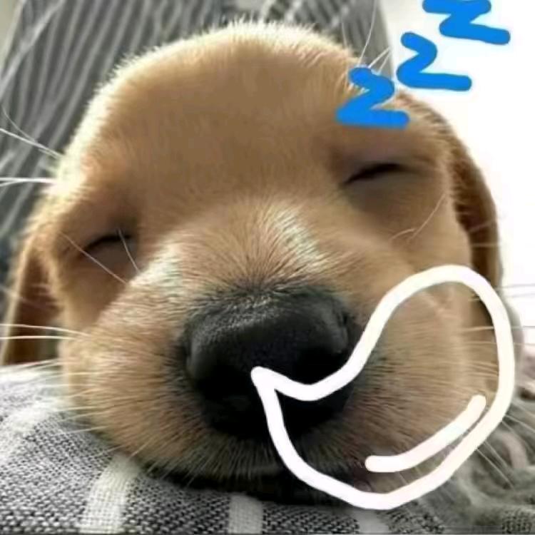捡笑一男的.