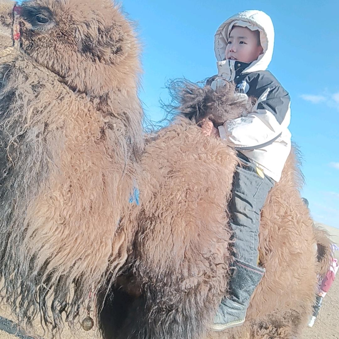 敖特根格日乐