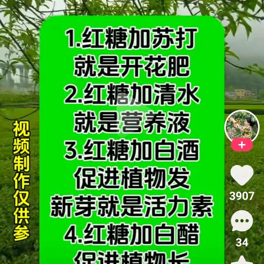 美女她妈