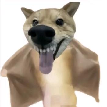 哈罗