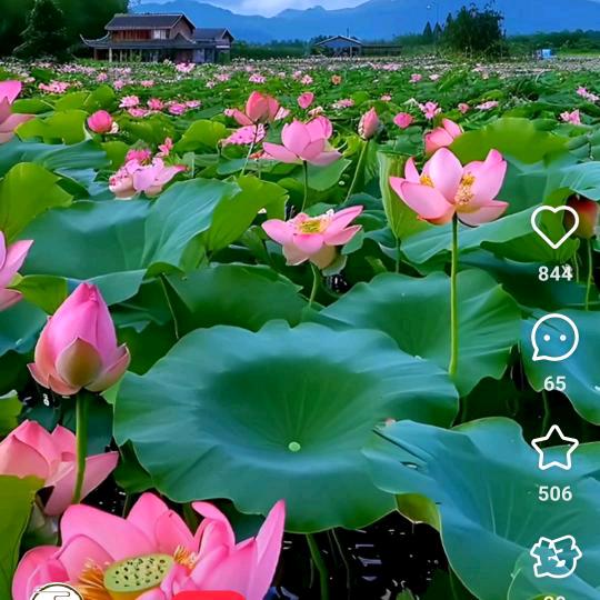 江南烟雨人
