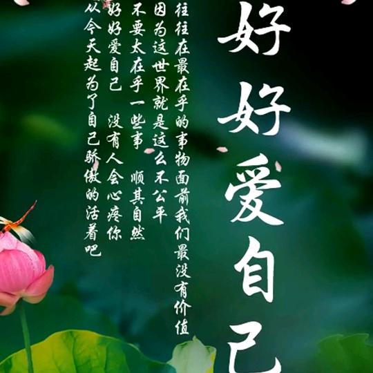 河南人在上海做家政