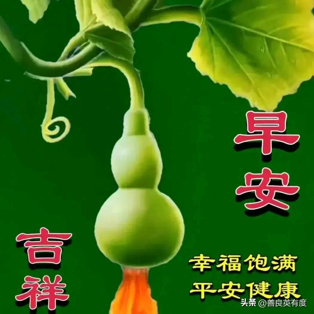 琳_