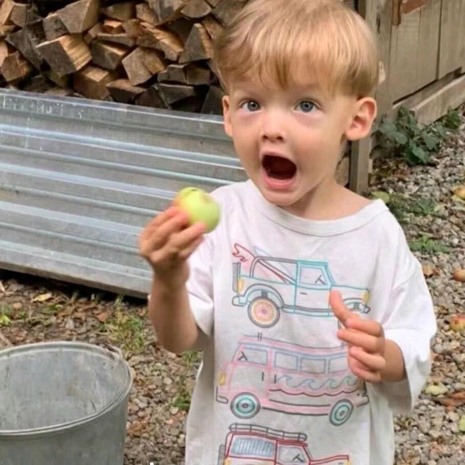 Aaa.张师傅专业套狗