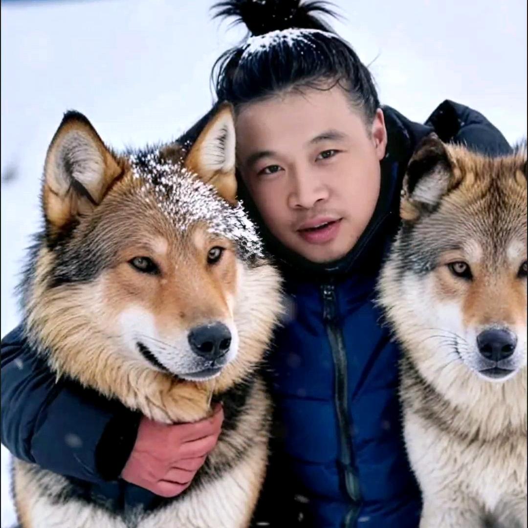 傲天狂龙