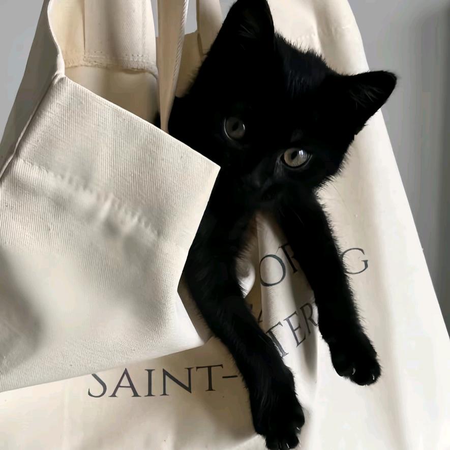 豆豆九儿严选好货店