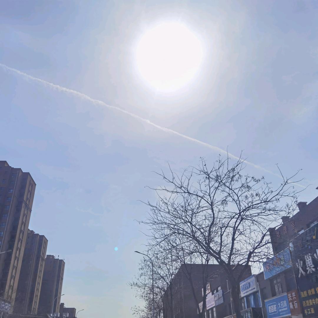 @零零七