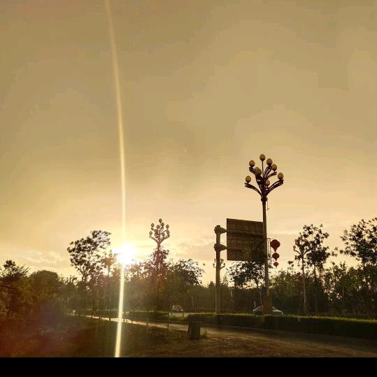 一对一家教辅导