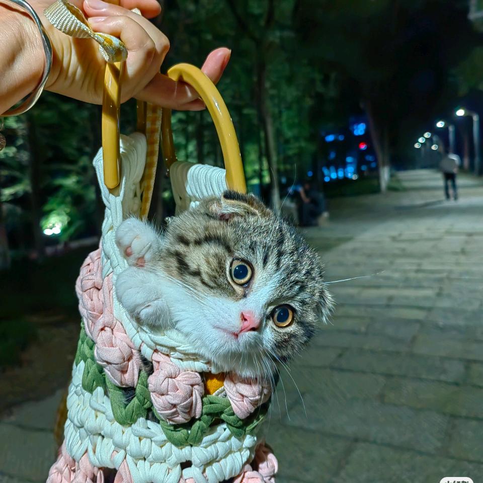 喆哥 我都不急