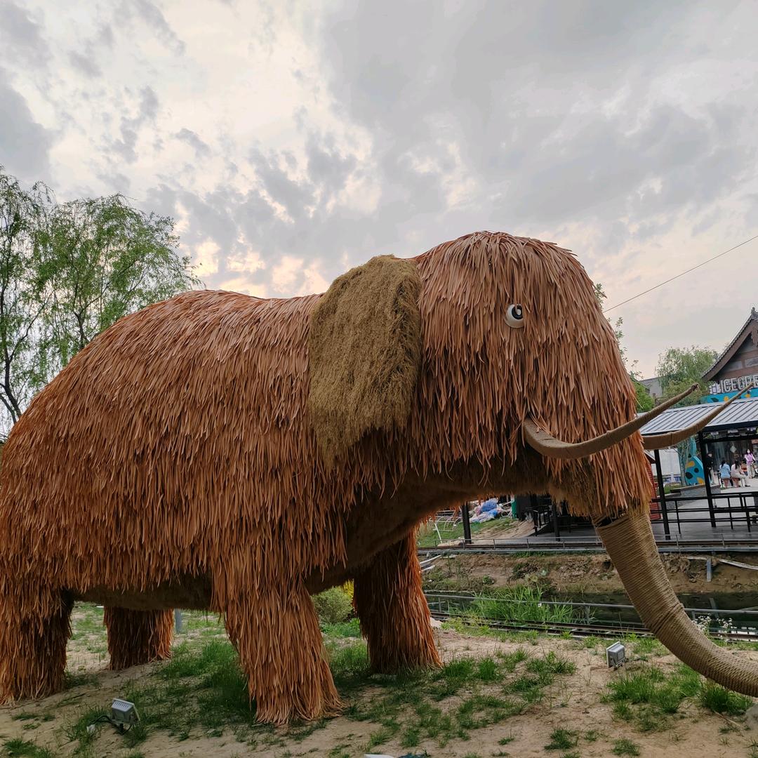 大象阿大象🐘
