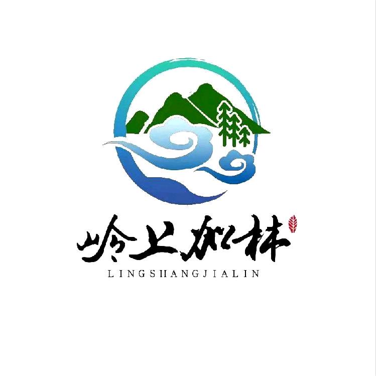 岭上加林白桦树汁植物饮品