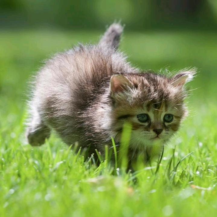 眼不听闻耳不见🍜⁰³