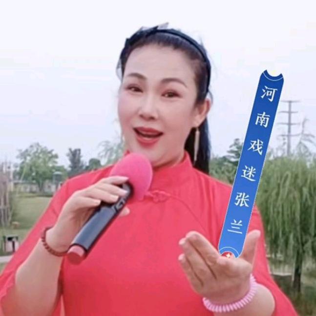 海派张兰