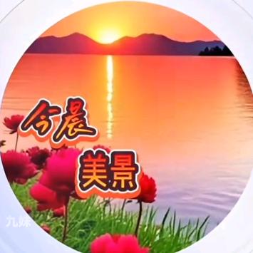 今晨美景