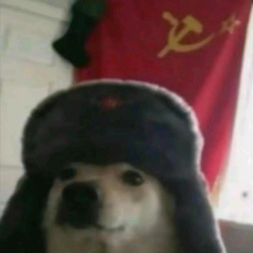 南雪