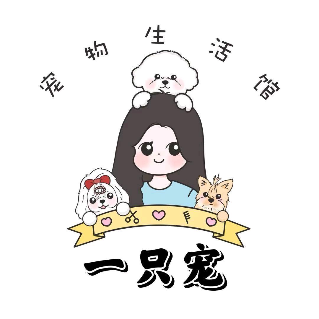 一只宠宠物管家