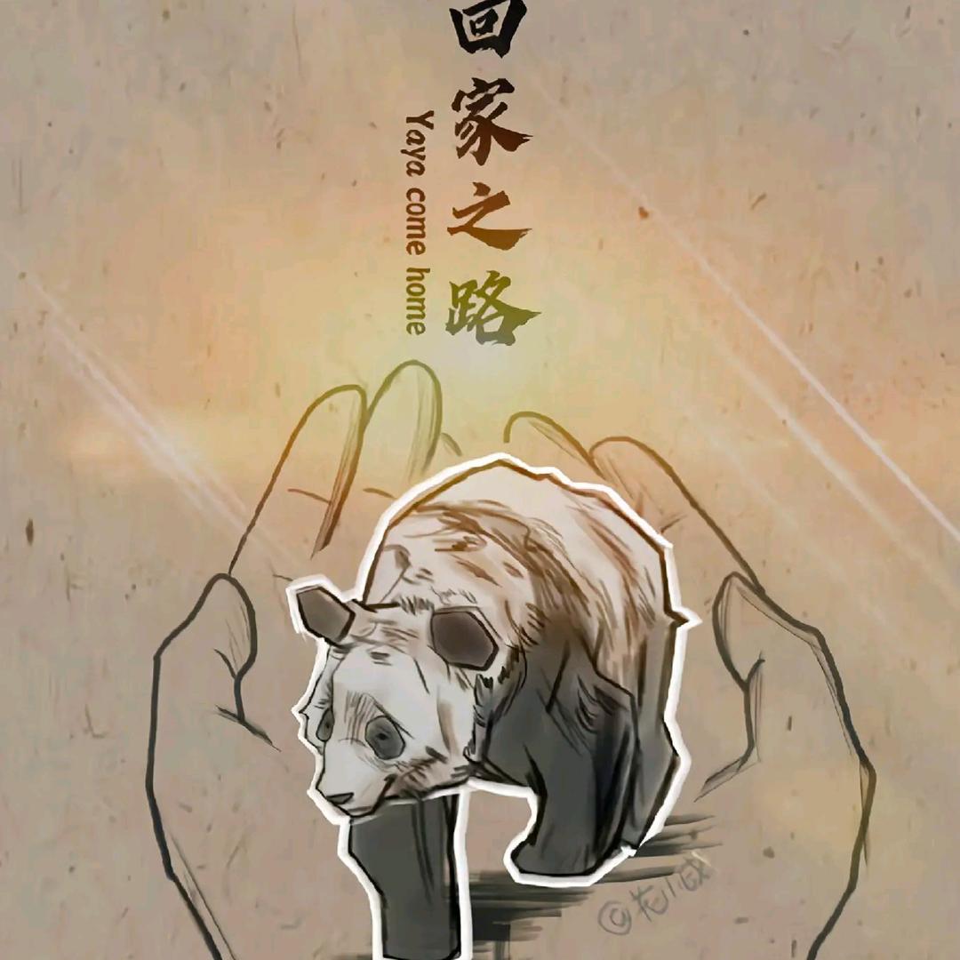 回家之路