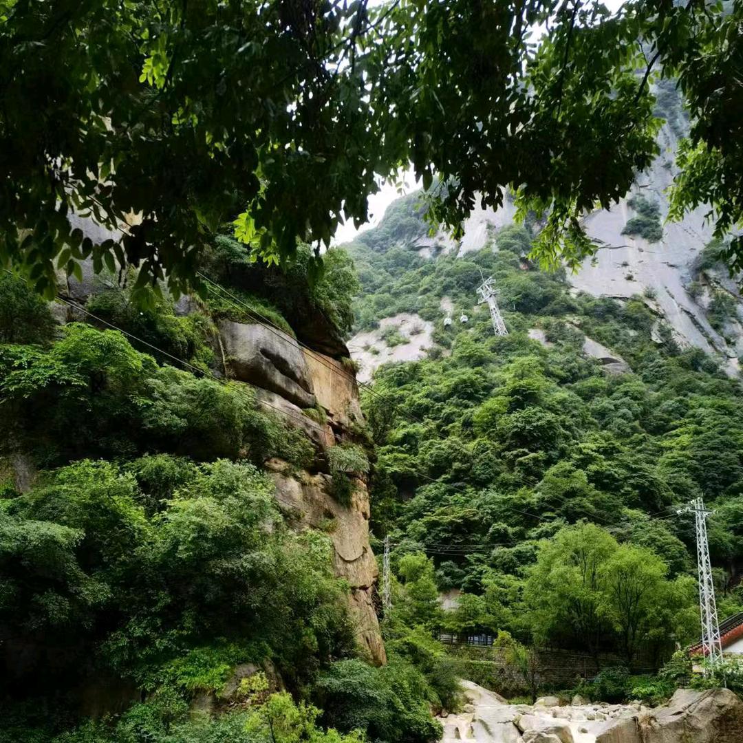 感恩遇见