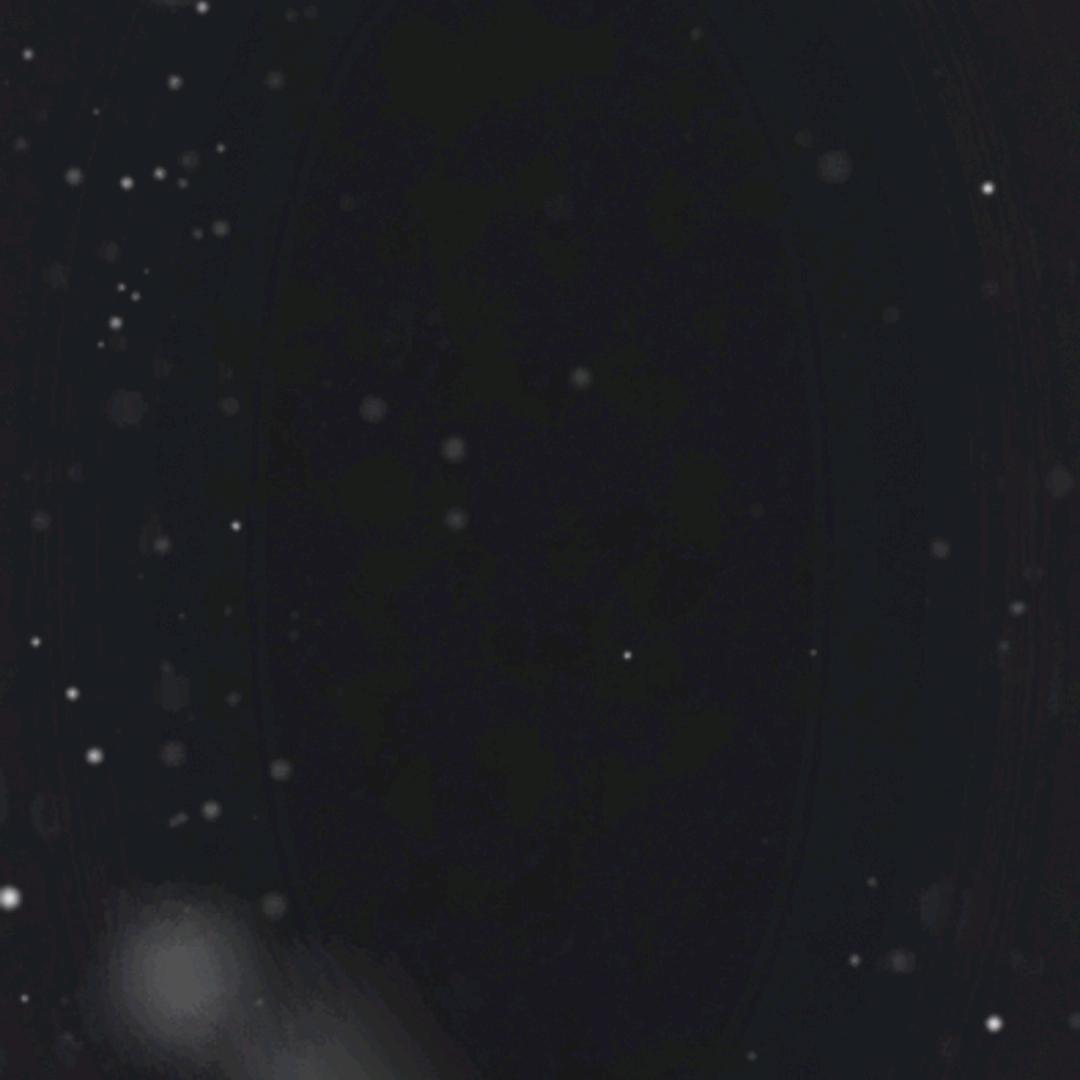 $%&？（！～-“%”）