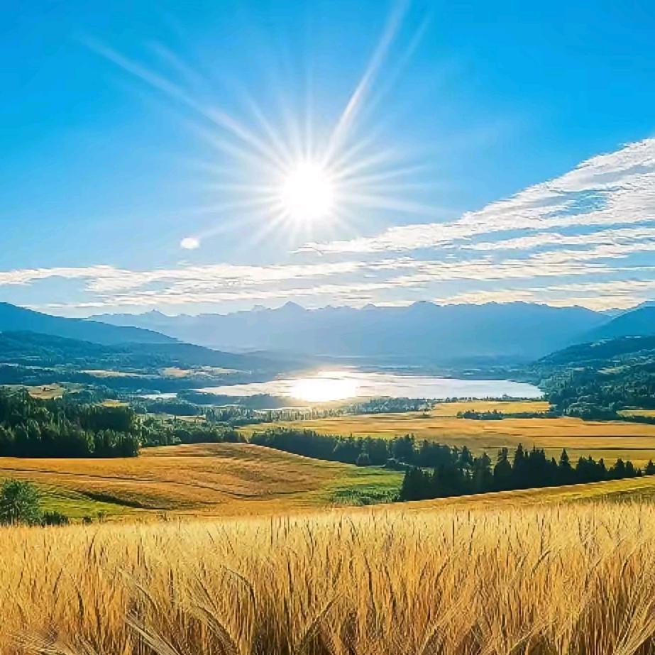 宋老师指导升学