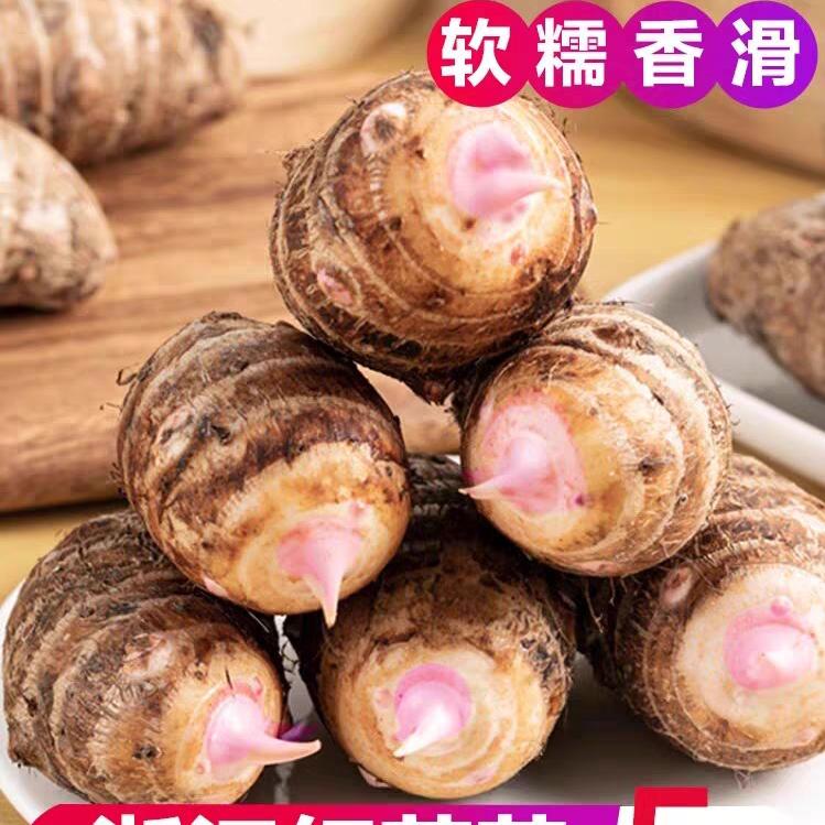 金华毛芋合作社