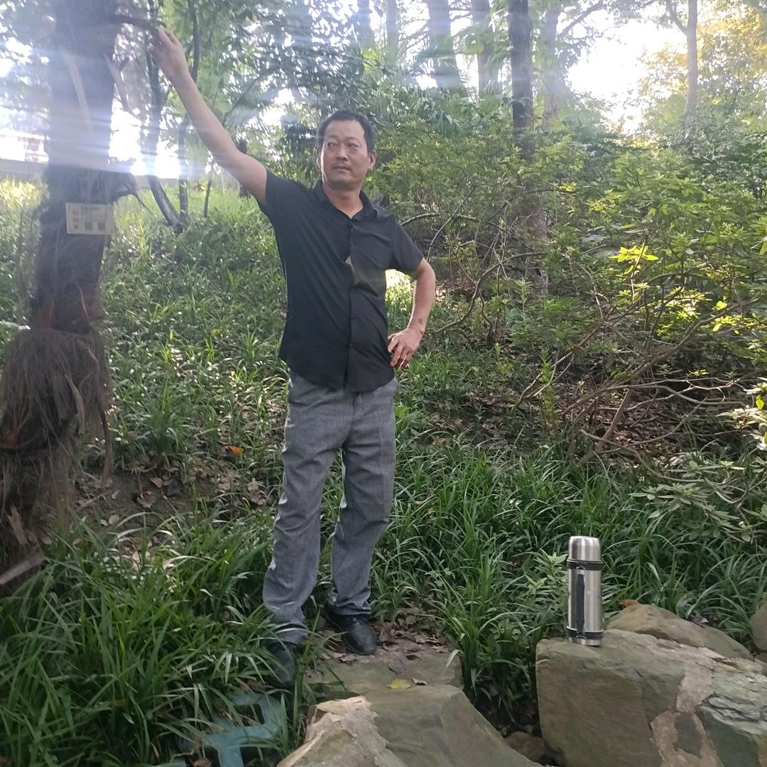 我是一生平安。