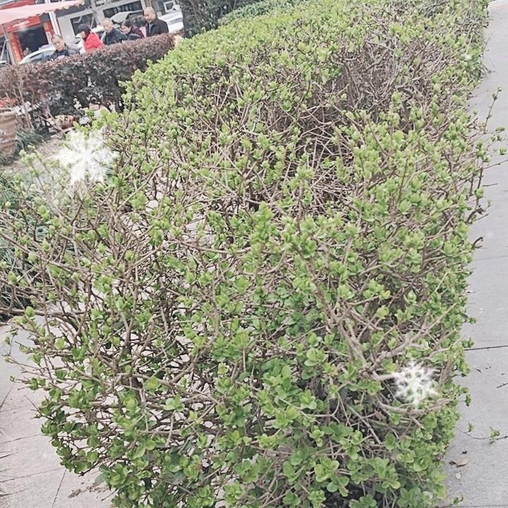 只谈今生
