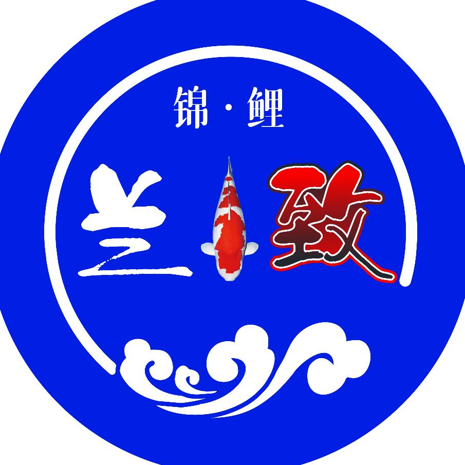 佛山兰致锦鲤