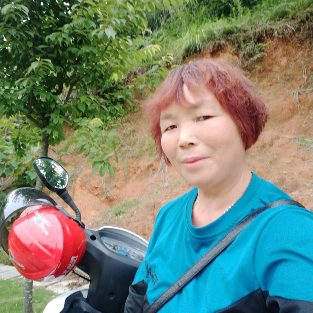 桃珍
