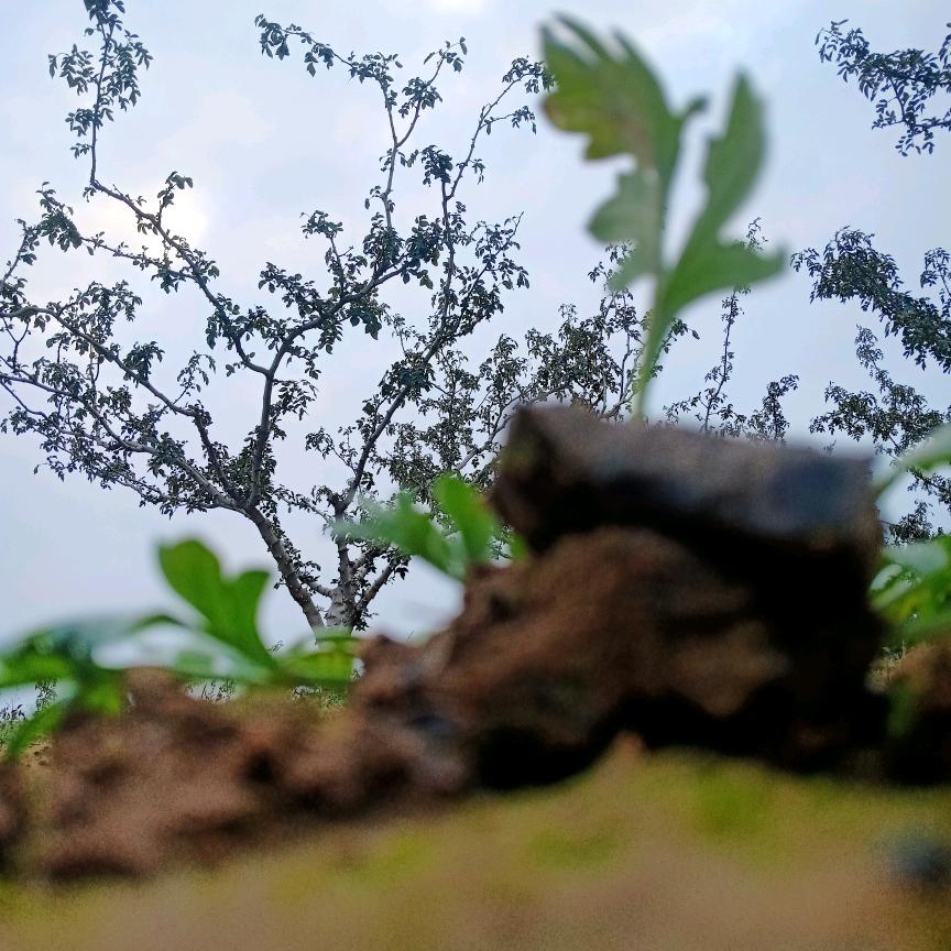 ～（●﹏●）～