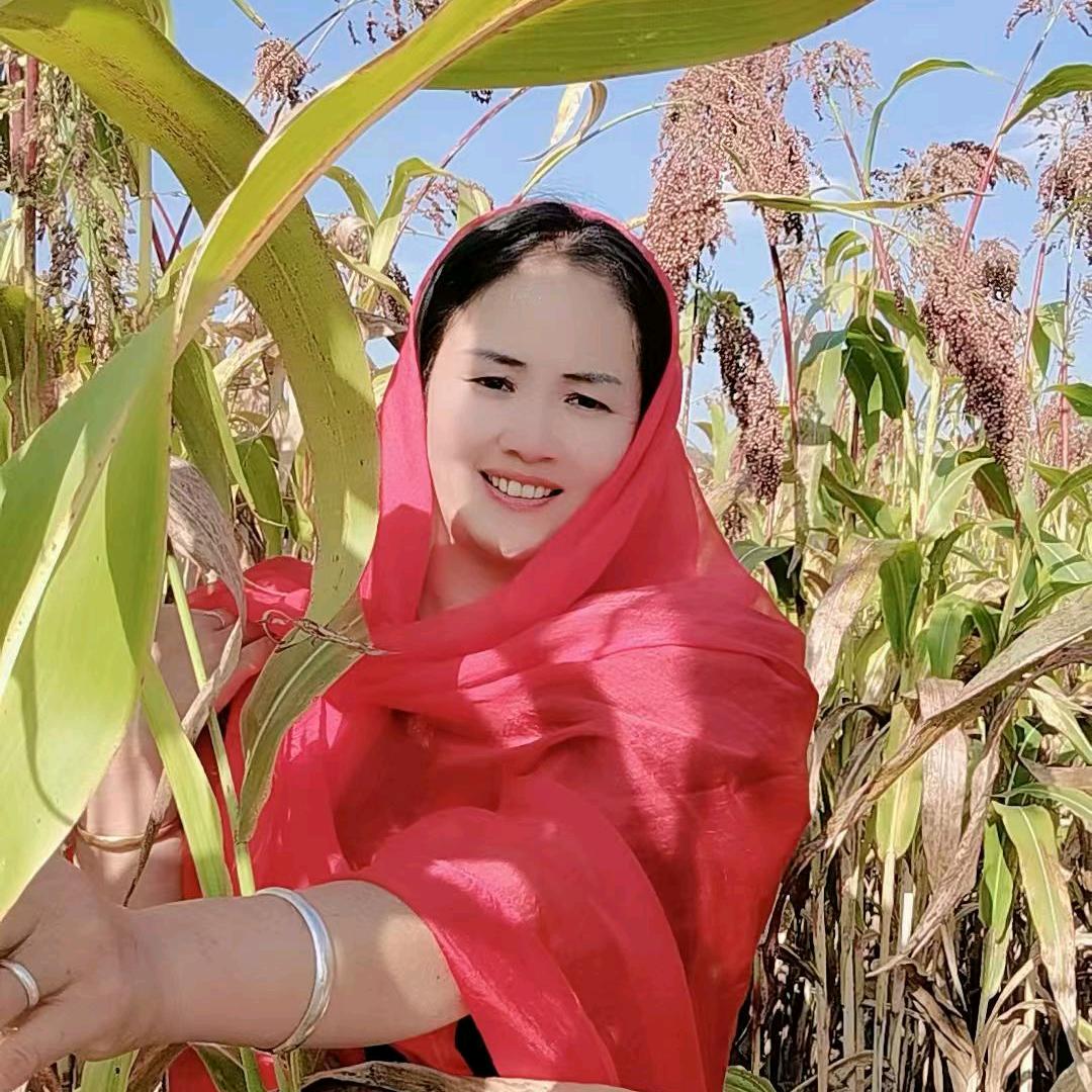 荞丝姐