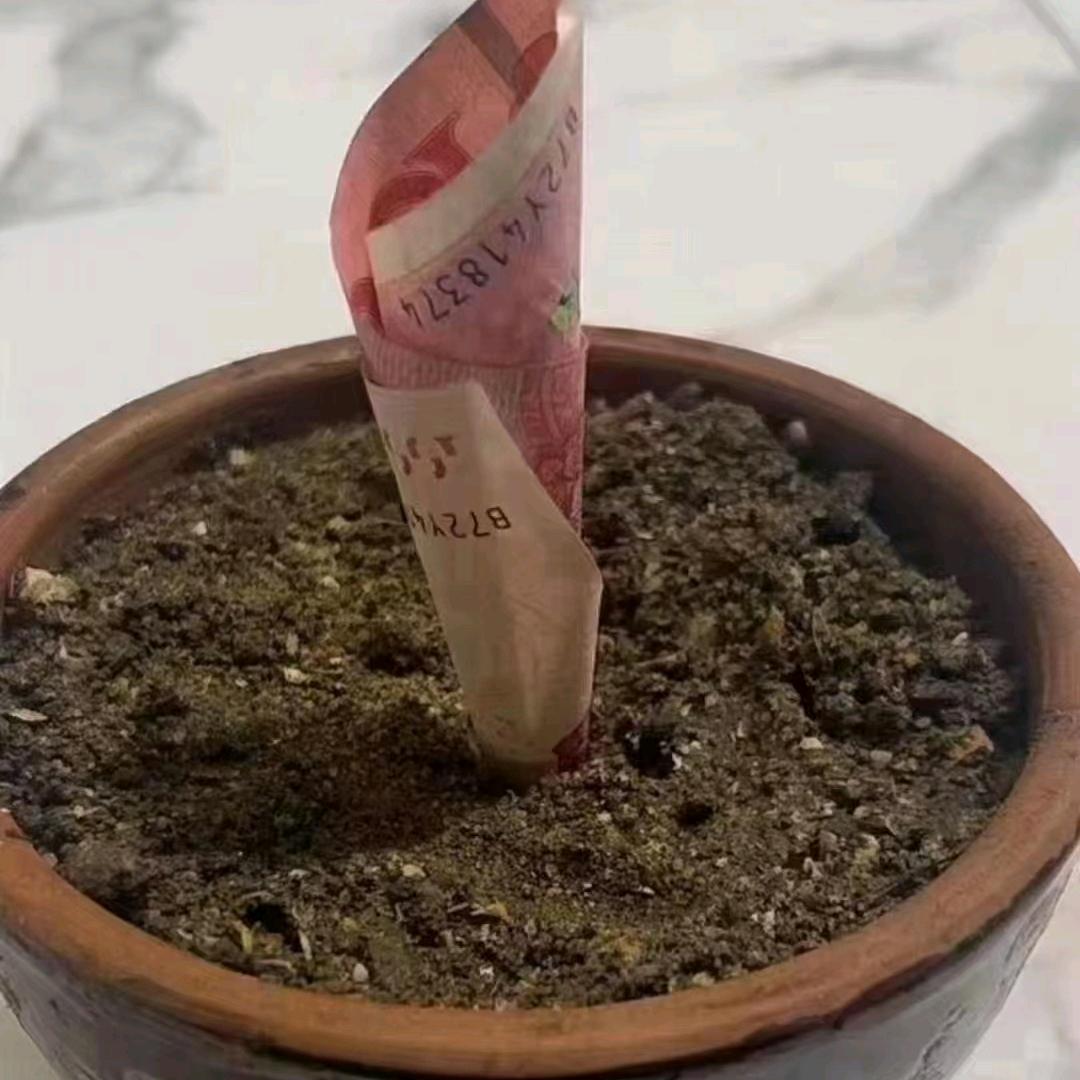 曾经的誓言已破碎