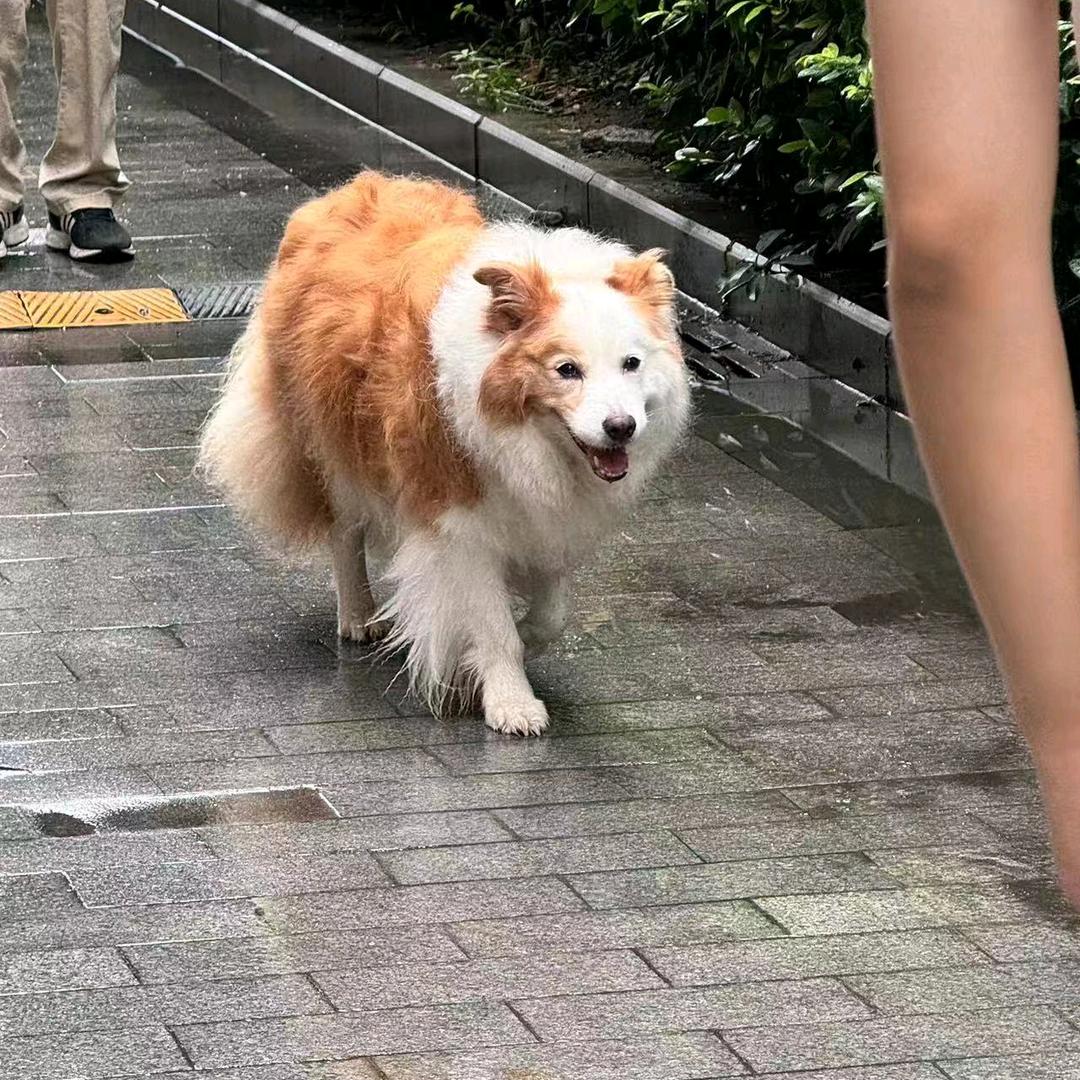🤪🤪🤪头像
