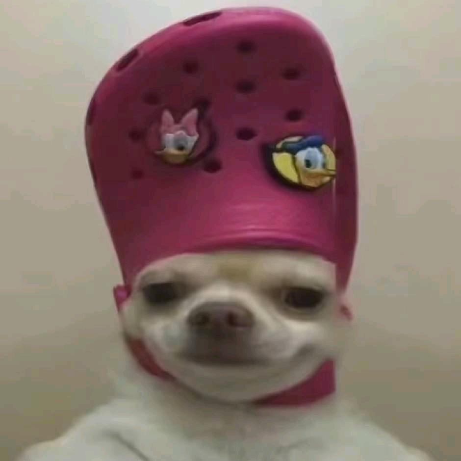 💰