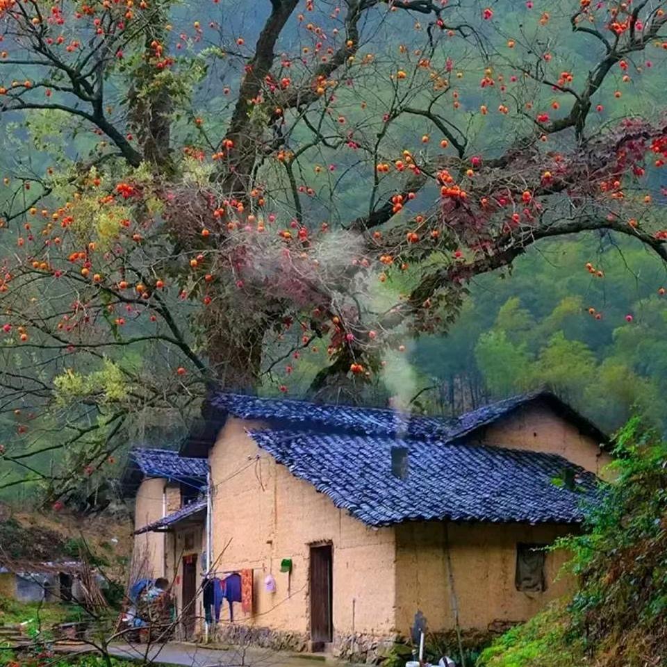 七哥断桥门窗厂