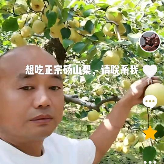 神马都是浮云。