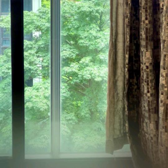 好好学习的马先生