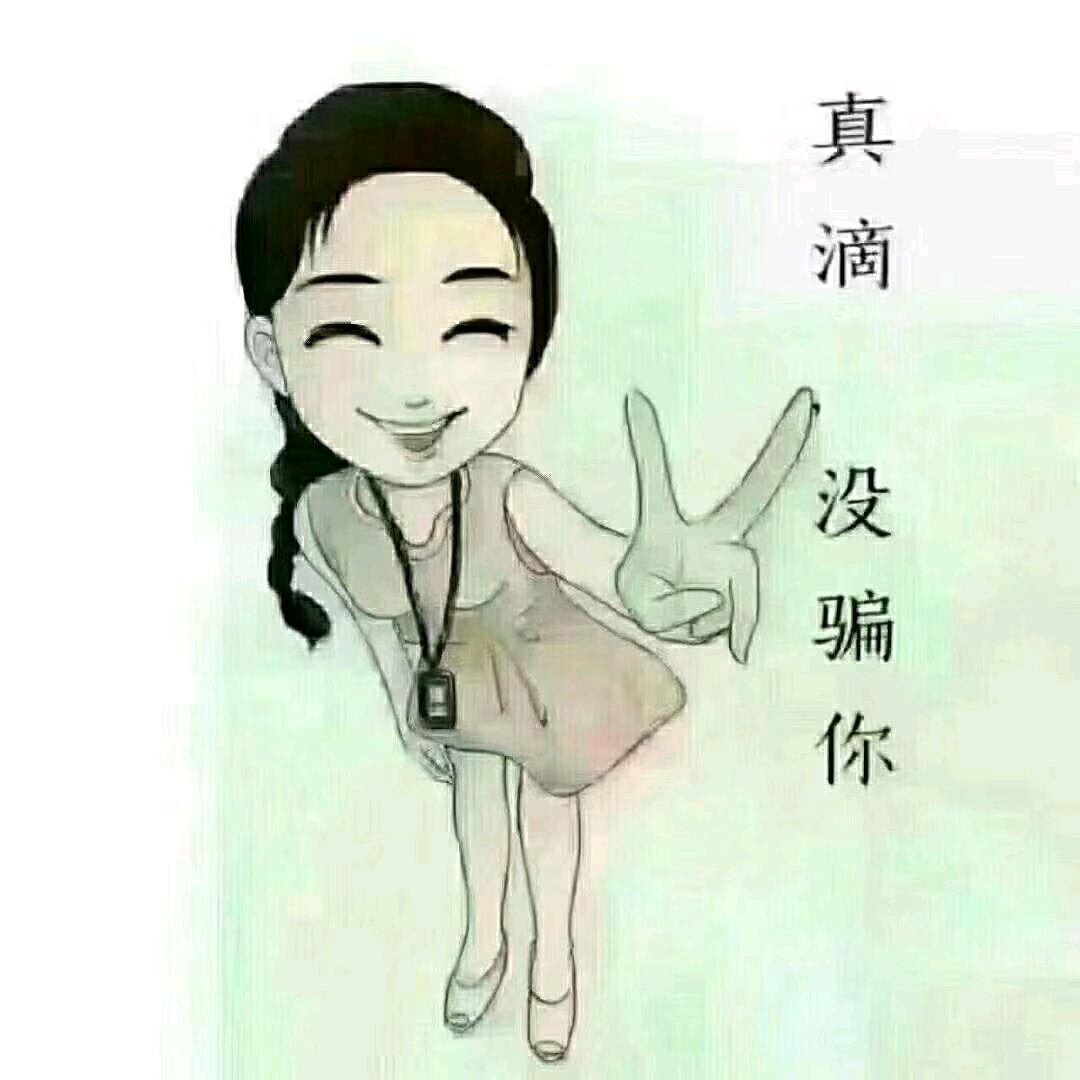 胖鸭