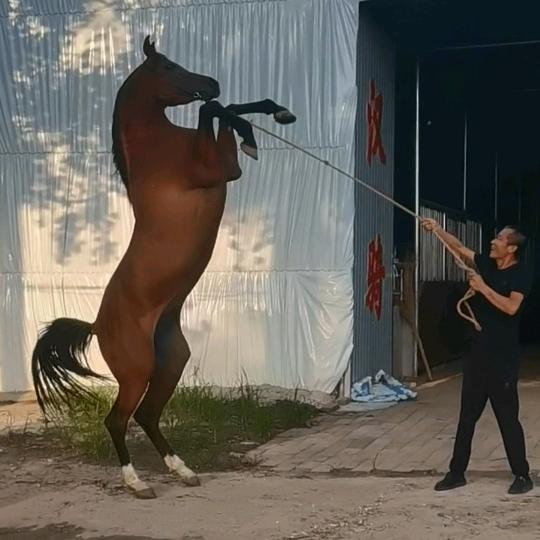 汉骑兄弟🐴