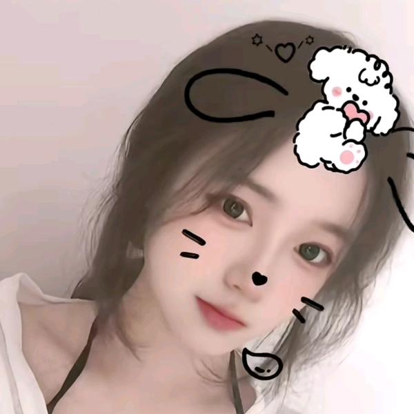 巷子里的猫🐱
